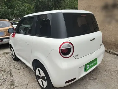 Qiyuan Lumin 2025, 100 км, за 5973.84 USD - фото 23
