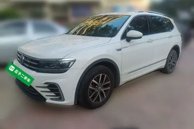 Volkswagen Tiguan L New Energy · 2019 год