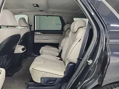 Hyundai Palisade 2019, 171356 км, за 13253.25 USD - фото 12