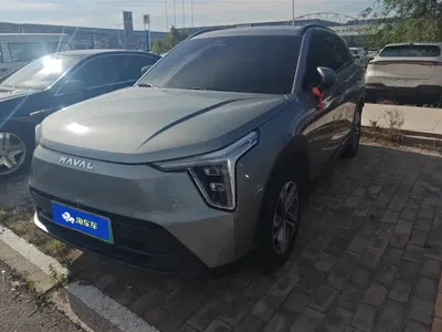 Haval Xiaolong · 2024 год