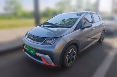 BYD Dolphin · 2021 год