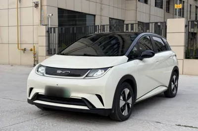 BYD Dolphin · 2023 год