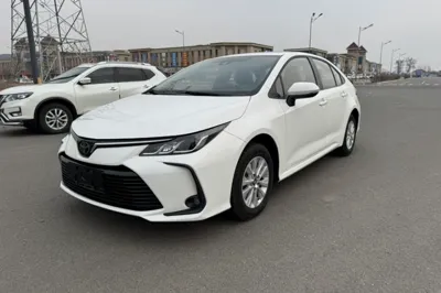Toyota Corolla · 2019 год