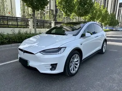 Tesla Model X · 2019 год