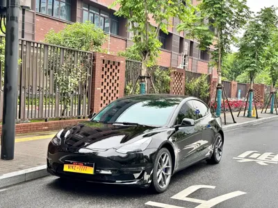 Tesla Model 3 · 2022 год