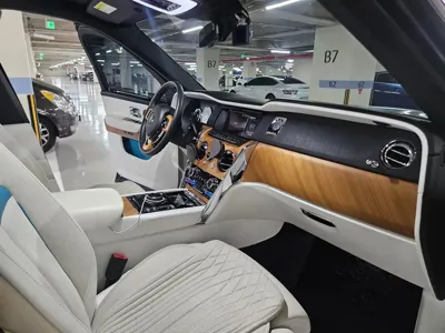 Rolls-Royce Cullinan 2019, 50697 км, за 211629.79 USD - фото 15