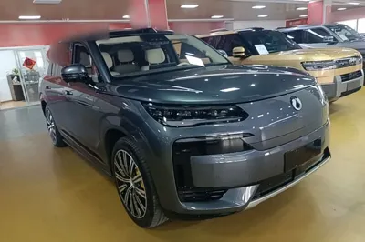 Denza N9