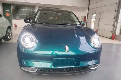 ORA Good Cat 2021, 79000 км, за 9840 USD