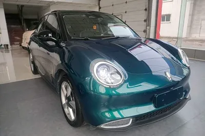 ORA Good Cat 2021, 79000 км, за 9840 USD