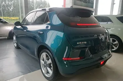 ORA Good Cat 2021, 79000 км, за 9840 USD