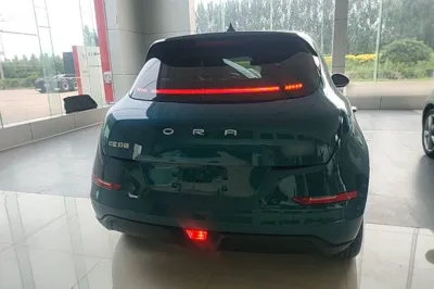 ORA Good Cat 2021, 79000 км, за 9840 USD