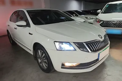 Skoda Octavia 2018, 58400 км, за 8310 USD