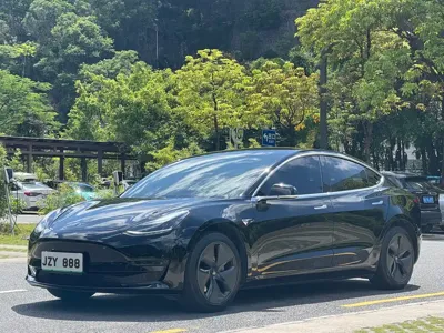 Tesla Model 3 · 2019 год