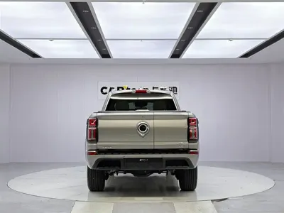 Great Wall Shanhaipao 2023, 21000 км, за 24101.95 USD