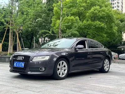 Audi A5 (Import) · 2010 год