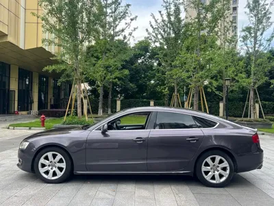 Audi A5 (Import) 2010, 120000 км, за 4397.26 USD