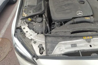 Mercedes-Benz C-Class 2019, 73100 км, за 17470 USD - фото 23