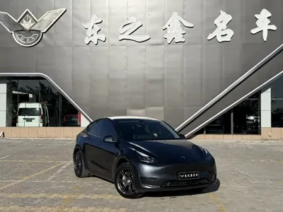Tesla Model Y · 2024 год