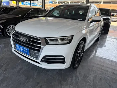 Audi Q5L · 2019 год