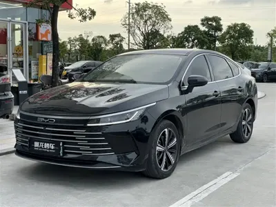 BYD Destroyer 05 · 2023 год