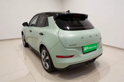 ORA Good Cat 2022, 64100 км, за 11295 USD