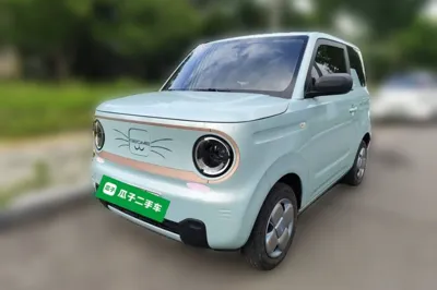 Geely Galaxy Panda · 2024 год