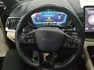 BYD PLUS New Energy 2023, 54400 км, за 12624.83 USD - фото 15