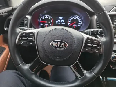 Kia Sorento 2020, 66000 км, за 14113.17 USD - фото 9