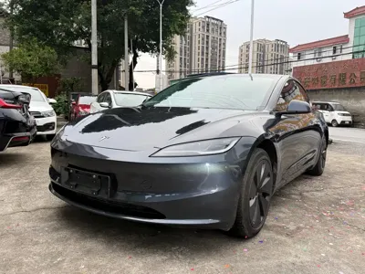 Tesla Model 3 2024, 51000 км, за 20423.38 USD
