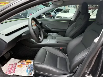 Tesla Model 3 2024, 51000 км, за 20423.38 USD - фото 7