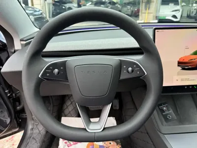 Tesla Model 3 2024, 51000 км, за 20423.38 USD - фото 14