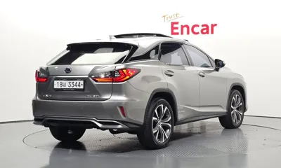 Lexus RX 2019, 93745 км, за 28886.85 USD