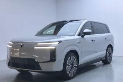 Denza N8L · 2025 год