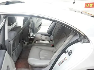 Mercedes-Benz CLS-Class 2008, 170000 км, за 3251.44 USD - фото 11