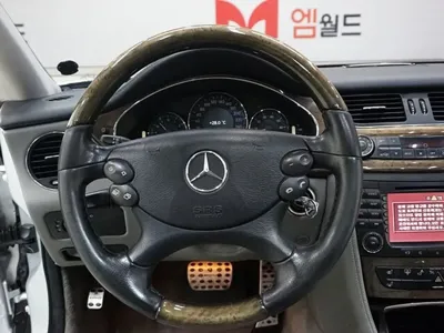 Mercedes-Benz CLS-Class 2008, 170000 км, за 3251.44 USD - фото 12