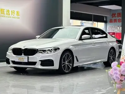BMW 5 Series · 2020 год