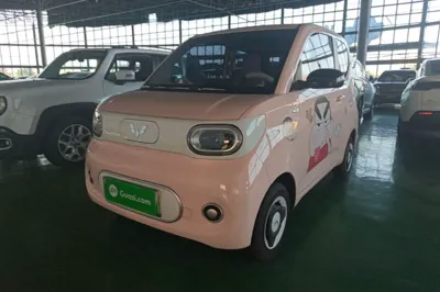 Wuling Hongguang MINIEV · 2024 год