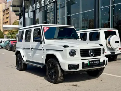 Mercedes-Benz G-Class New Energy 2025, 22000 км, за 194228.13 USD