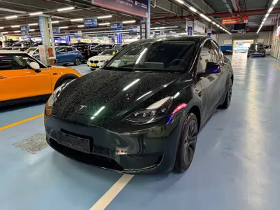 Tesla Model Y · 2023 год