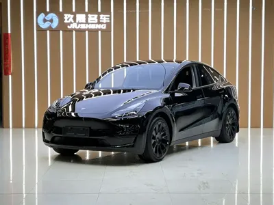 Tesla Model Y · 2022 год