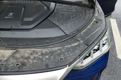 BYD Song PLUS New Energy 2021, 74100 км, за 11385 USD - фото 22
