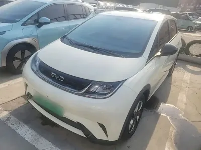 BYD Dolphin 2024, 13500 км, за 9549.55 USD