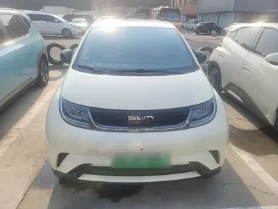 BYD Dolphin 2024, 13500 км, за 9549.55 USD