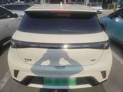 BYD Dolphin 2024, 13500 км, за 9549.55 USD