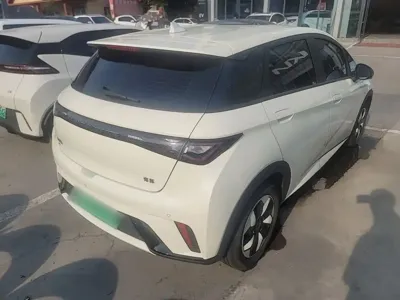BYD Dolphin 2024, 13500 км, за 9549.55 USD