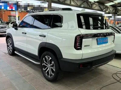 Haval Big Dog 2022, 32000 км, за 11741.97 USD