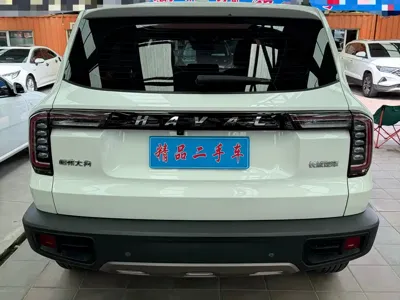 Haval Big Dog 2022, 32000 км, за 11741.97 USD