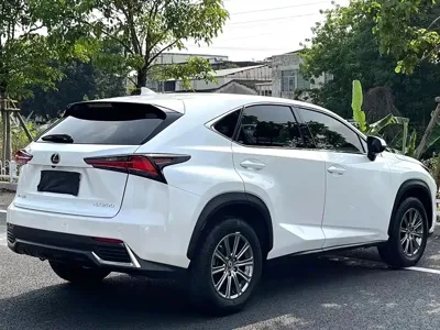 Lexus NX 2018, 110000 км, за 14704.79 USD - фото 7