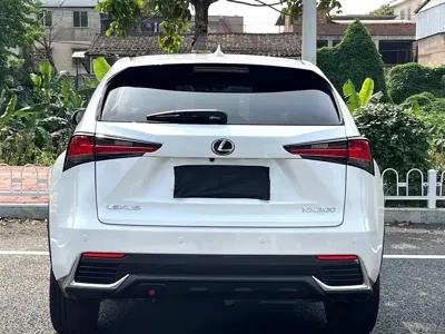 Lexus NX 2018, 110000 км, за 14704.79 USD - фото 8