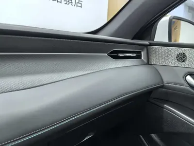 BYD Qin Plus 2025, 16200 км, за 12966.37 USD - фото 16